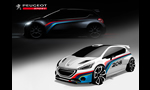 Peugeot 208 Type R5 Rally Car for 2013