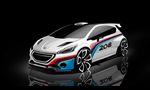 Peugeot 208 Type R5 Rally Car for 2013