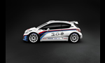 Peugeot 208 Type R5 Rally Car for 2013